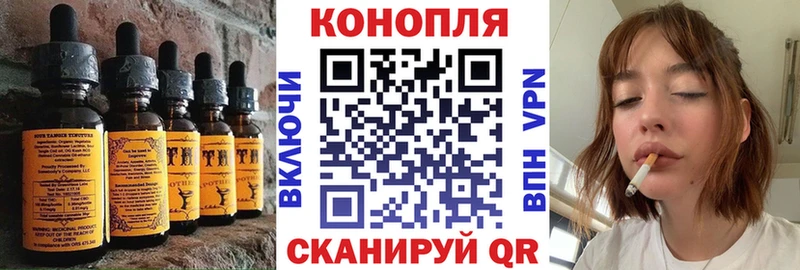 Canna-Cookies марихуана  MEGA маркетплейс  Сальск 