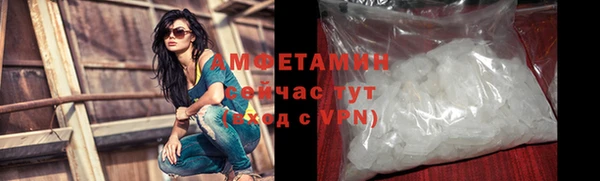 прущие грибы Болхов