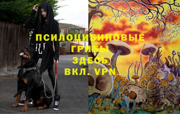 первитин Абаза